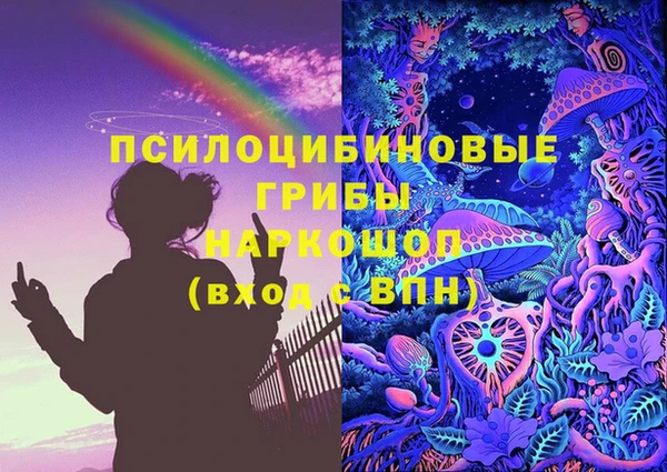 тгк Бикин