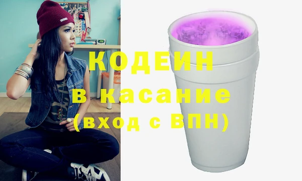тгк Бикин