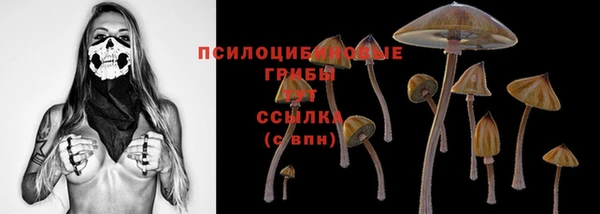мет Билибино
