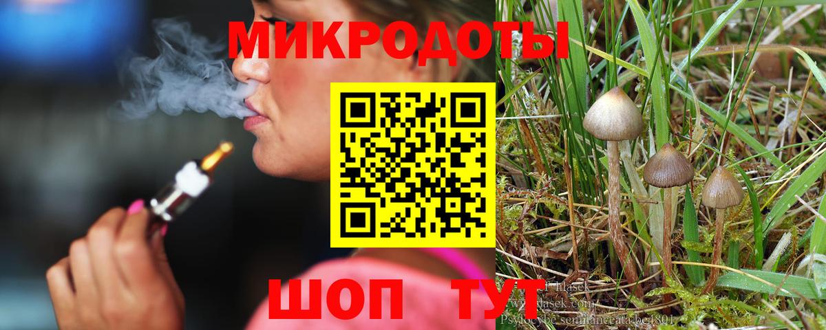 Галлюциногенные грибы Cubensis  Вход с VPN  Кандалакша  купить наркотик  Галлюциногенные грибы прущие грибы 