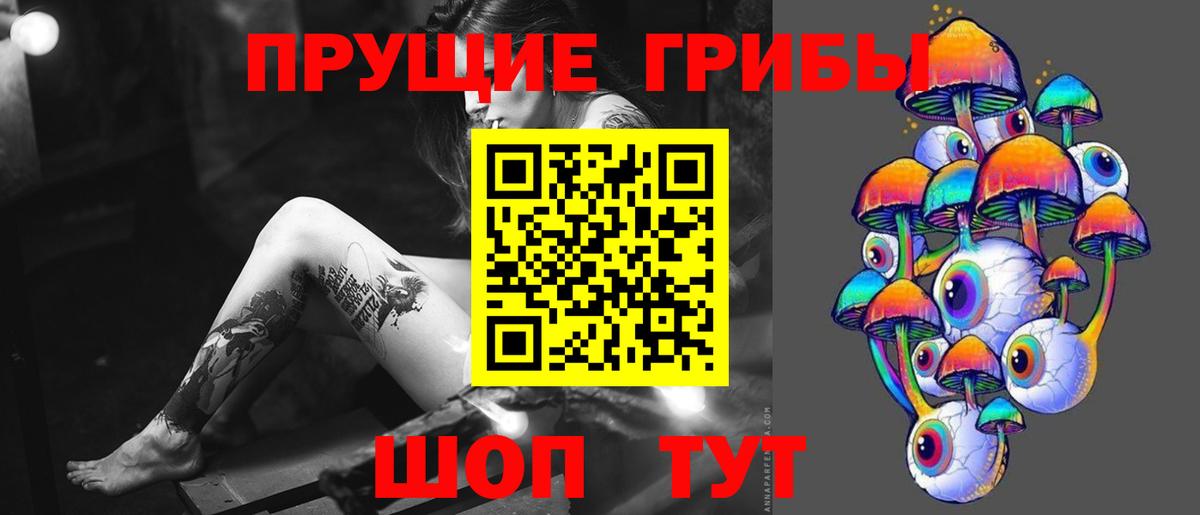 Псилоцибиновые грибы Cubensis Кандалакша